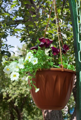 Кашпо Алиция подвесное D220 мм с поддоном Подвесные кашпо