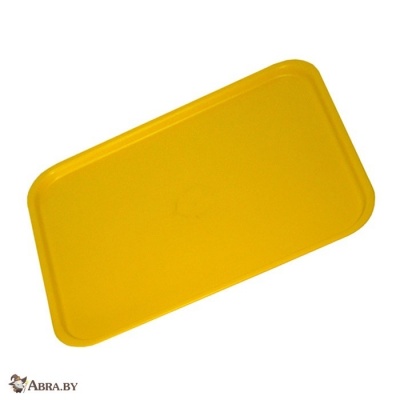 Поднос 450x400x15 мм Подносы