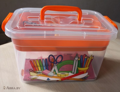 Контейнер для хранения с вкладышем Важные мелочи Контейнеры, емкости