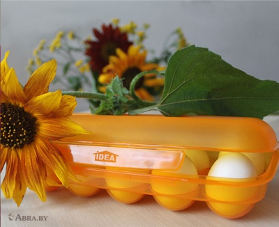 Контейнер для яиц (на 10 шт.) Контейнеры для продуктов