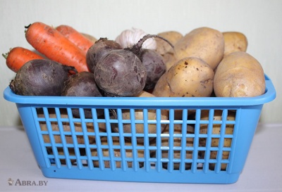 Корзина для хранения  с ручками 294x198x110 мм Ящики, корзины