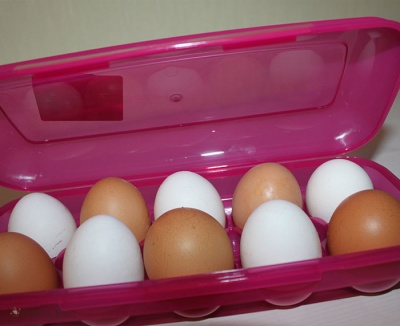 Контейнер для яиц (на 10 шт.) Контейнеры для продуктов