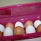 Контейнер для яиц (на 10 шт.) Контейнеры для продуктов