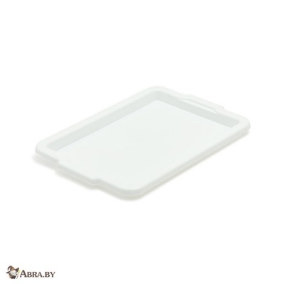 Поднос пластиковый 500x370x25мм Подносы
