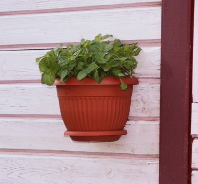 Кашпо настенное Ливия D260мм Подвесные кашпо